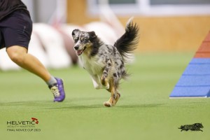 EH8A8044_DxO-1