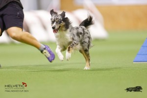 EH8A8045_DxO-1