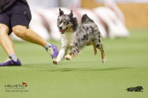 EH8A8046_DxO