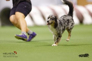 EH8A8048_DxO