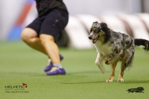 EH8A8050_DxO