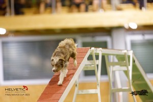 EH8A8070_DxO