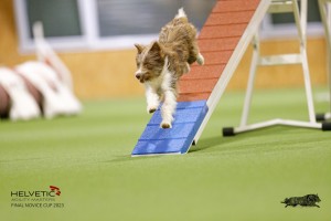 EH8A8075_DxO