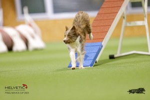 EH8A8076_DxO