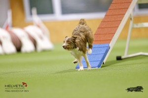 EH8A8077_DxO