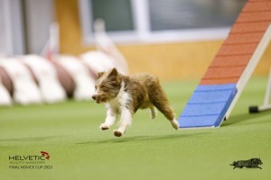 EH8A8080_DxO