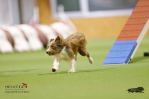 EH8A8081_DxO