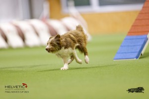 EH8A8082_DxO
