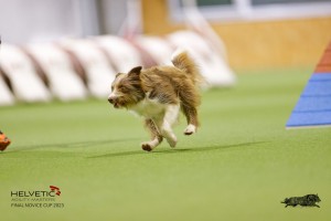 EH8A8083_DxO
