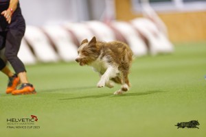 EH8A8084_DxO