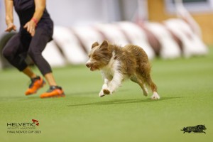 EH8A8085_DxO