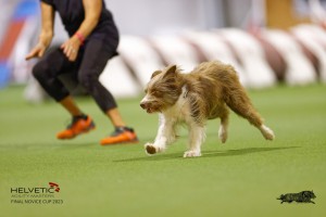 EH8A8086_DxO