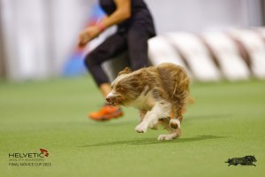 EH8A8089_DxO