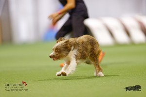 EH8A8090_DxO