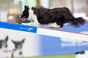 1T0A0861HAM