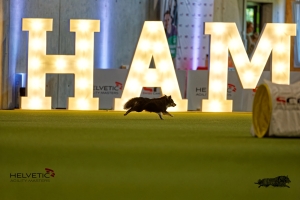 1T0A1705-3HAM