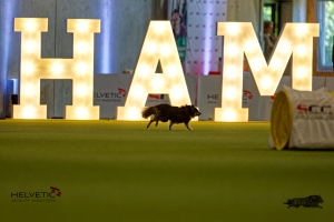 1T0A1706-3HAM