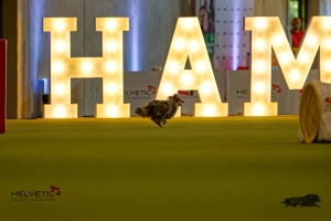 1T0A1765-3HAM