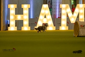 1T0A1766-3HAM
