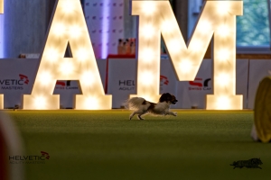 1T0A2081-3HAM